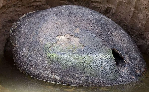 Chó sủa không ngừng vào hòn đá, tá hỏa thấy thứ không tầm thường