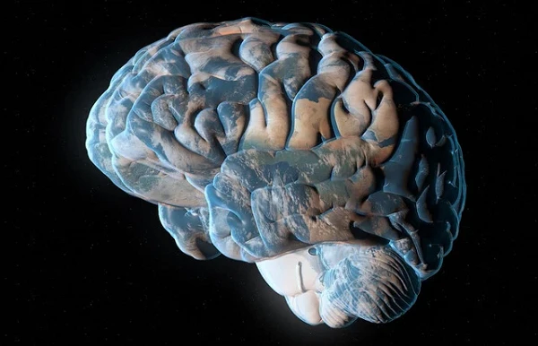 Trái đất có trí thông minh và suy nghĩ hệt như một... thực thể