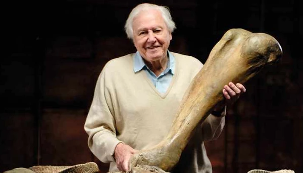 Nóng: Phát hiện nơi 5 loài người khác và 5 quái thú cùng hiện diện