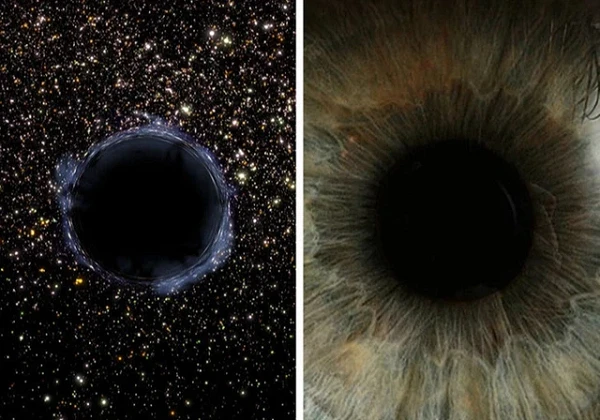 Cơ thể của mỗi người chính là một vũ trụ, đây là bằng chứng!