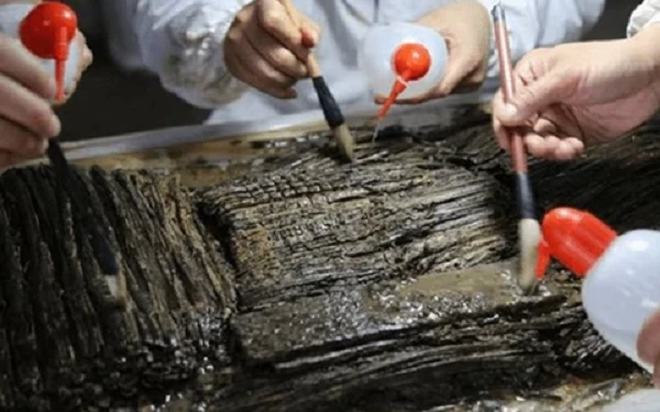 Phát hiện hộp giòi trong thủy mộ, chuyên gia hô lớn: “Là thần dược!”