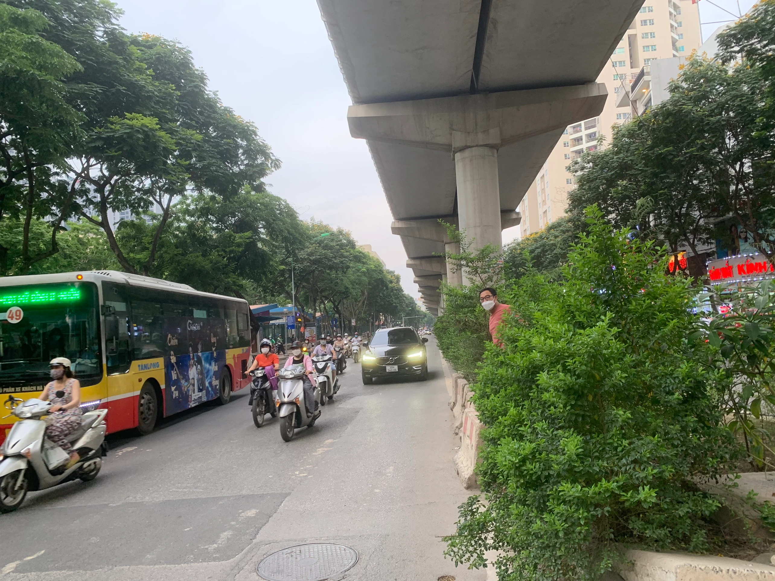 Hà Nội: Đường Xuân Thủy cây mọc um tùm, che tầm nhìn người tham gia giao thông
