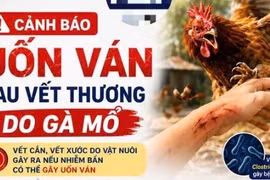Vết thương do gà mổ, cụ bà 86 tuổi nhập viện vì uốn ván