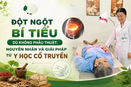 6 tháng bí tiểu không rõ nguyên nhân, phát hiện thuộc chứng 'long bế'