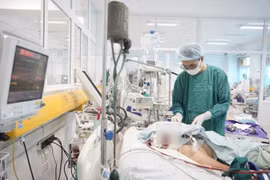 Sau 4 ngày sốt, người bệnh 77 tuổi suy hô hấp nặng do viêm phổi