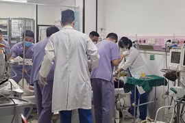 Rơi vào não gan, du khách Mỹ lú lẫn, suy đa tạng, suýt ngừng tim được cứu 
