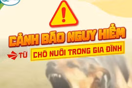 Trẻ 3 tuổi bị chó nhà cắn nguy kịch, cảnh báo nguy hiểm tiềm ẩn từ vật nuôi