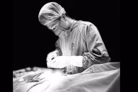 Tin râu ngô, kim tiền thảo làm tan sỏi, coi chừng biến chứng hại thận
