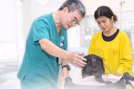 Nạo VA tưởng đơn giản, trẻ 17 tuổi thở máy hơn một tháng