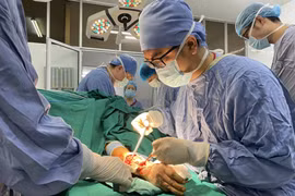 Chó cắn tứ chi khiến cụ bà 75 tuổi nguy kịch
