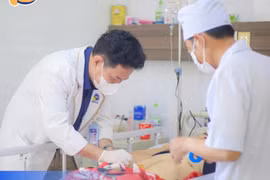 Trèo cây bị ngã, người phụ nữ chấn thương gan độ IV, nguy kịch