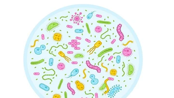 Cảnh báo dấu hiệu nhiễm trùng đường ruột ở trẻ nhỏ