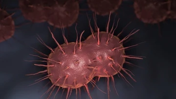 Bệnh lây truyền qua đường tình dục ảnh hưởng đến thai nhi thế nào?