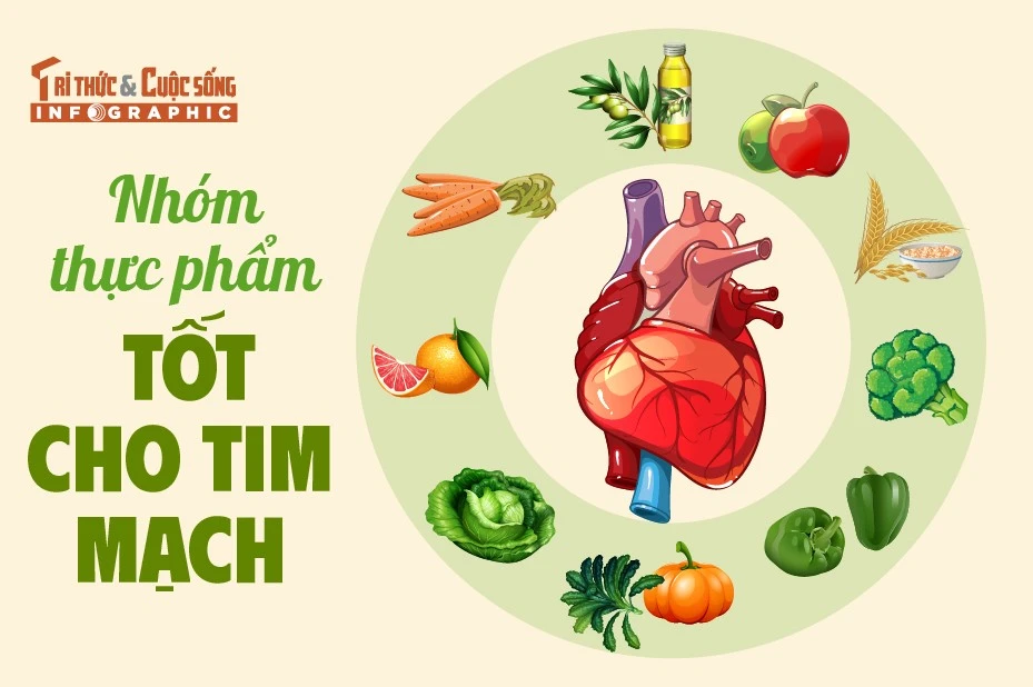 [INFOGRAPHIC]: Nhóm thực phẩm tốt cho tim mạch 