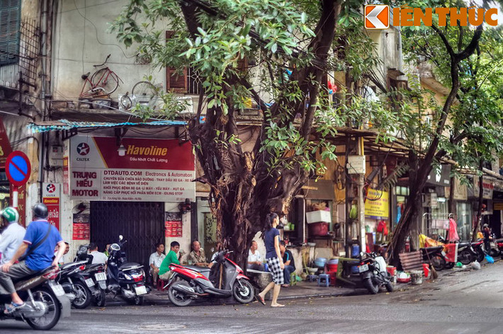 Đây nguyên là địa phận của thôn Đông Thành (đoạn phía Đông từ phố Thuốc Bắc đến phố Hàng Gà) và thôn Tân Khai (đoạn còn lại). Cả hai thôn này đều thuộc tổng Tiền Túc (sau đổi là tổng Thuận Mỹ), huyện Thọ Xương cũ.