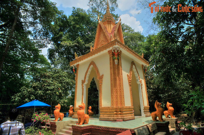 Bên ngoài chính điện chùa là các công trình khác như nhà sa-la, khu tăng phòng, tháp xá lợi.. nằm trong khuôn viên xanh mát rợp bóng cây cổ thụ, không gian mát mẻ, thanh tịnh. Đặc biệt, vườn chùa có rất nhiều dơi quạ về trú ngụ. Đây chính là nguồn gốc tên gọi chùa Dơi.