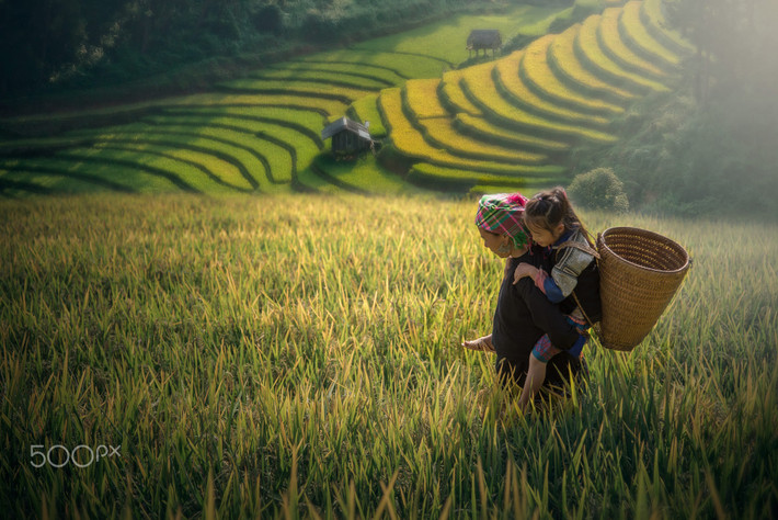 Hai mẹ con trên ruộng bậc thang. Ảnh: Sirisak Baokaew / 500px.com.