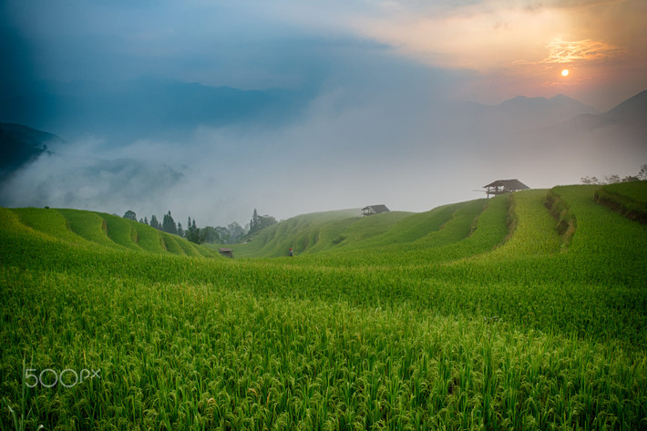 Buổi sáng huyền ảo trên thửa ruộng bậc thang Hà Giang. Ảnh: Sylvain Marcelle / 500px.com.