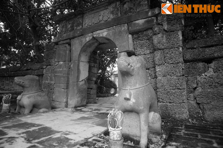 Người học trò nghe nói vậy liền kể cho cha mẹ nghe. Từ đó, người cha lên mặt hống hách. Ông ta dắt trâu ra đồng, cho trâu dẫm cả vào lúa non của người khác. Ảnh: Chó đá lăng ở Quận công Phạm Mẫn Trực, Hoài Đức, Hà Nội.