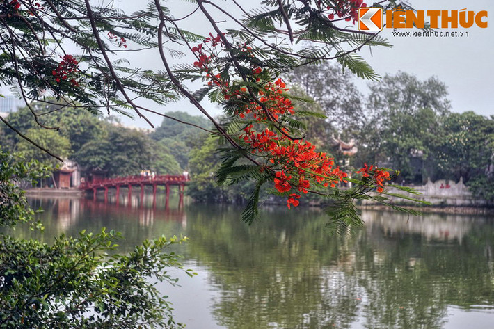 Năm 1865, nhà nho Nguyễn Văn Siêu đứng ra tu sửa lại đền. Diện mạo đền Ngọc Sơn ngày nay về cơ bản vẫn được giữ nguyên từ đợt trùng tu này. Về tổng quan, ngôi đền là một quần thể kiến trúc gồm nhiều lớp kéo dài từ bờ hồ Hoàn Kiếm ra đảo Ngọc.