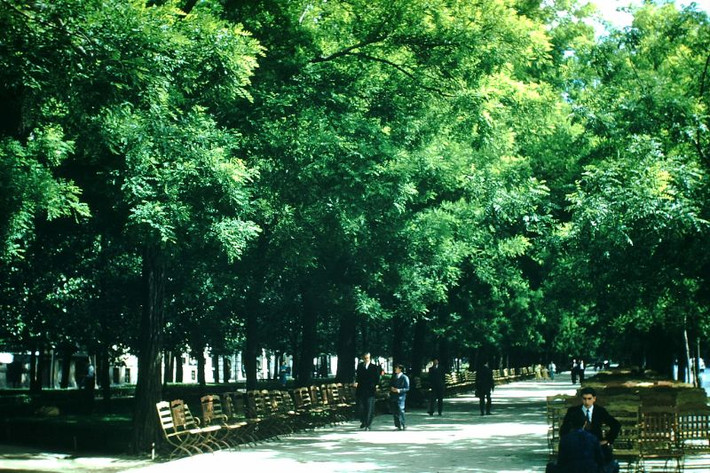 Con đường trong công viên Pasa Castellano.