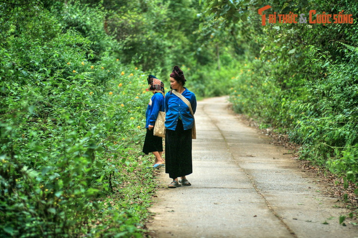 Đặc biệt, quanh hồ có các bản của đồng bào dân tộc Khơ Mú, Thái, Mông… đã sinh sống qua nhiều thế hệ, tạo nên nét văn hóa đặc sắc, mời gọi những vị khách từ miền xuôi đến khám phá, trải nghiệm.