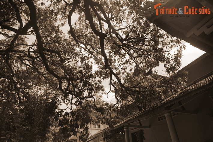 Nằm ở thôn Cần Lương, xã An Dân, huyện Tuy An, chùa Từ Quang hay chùa Đá Trắng là ngôi chùa cổ nổi tiếng bậc nhất tỉnh Phú Yên. Trong khuôn viên chùa có một vườn xoài cổ thụ cho quả ngon đến mức vang danh sử sách.