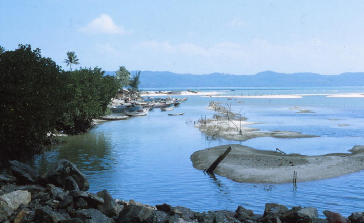 Làng chài gần thị trấn Sông Cầu. Ảnh: Steve.