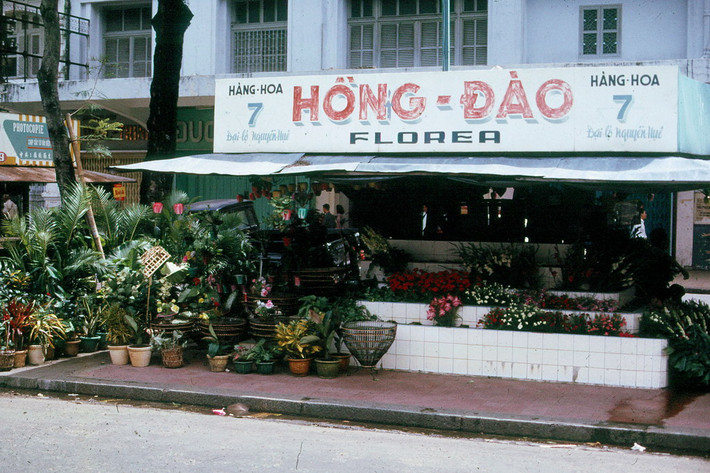 Cửa hàng bán hoa ở số 7 đại lộ Nguyễn Huệ. Ảnh: 11thrru.org.