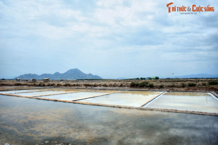 Một góc cánh đồng muối Phương Cựu, một trong những vựa muối lớn của miền Trung, nằm ở huyện Ninh Hải.