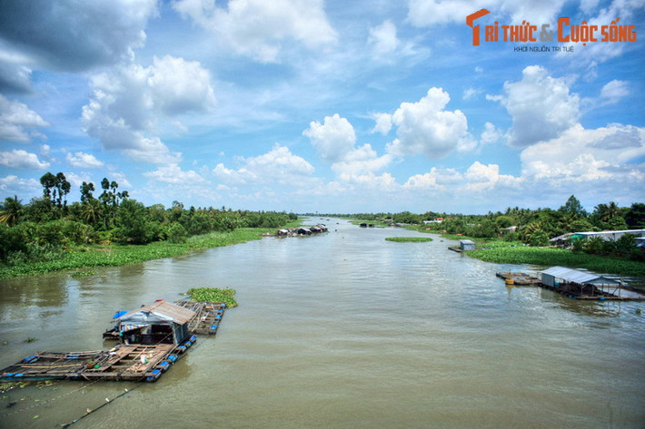 Khung cảnh bình yên trên một nhánh sông Tiền ở Đồng Tháp. Nằm ở đầu nguồn sông Cửu Long, Đồng Tháp có nguồn nước mặt khá dồi dào, nước ngọt quanh năm không bị nhiễm mặn.