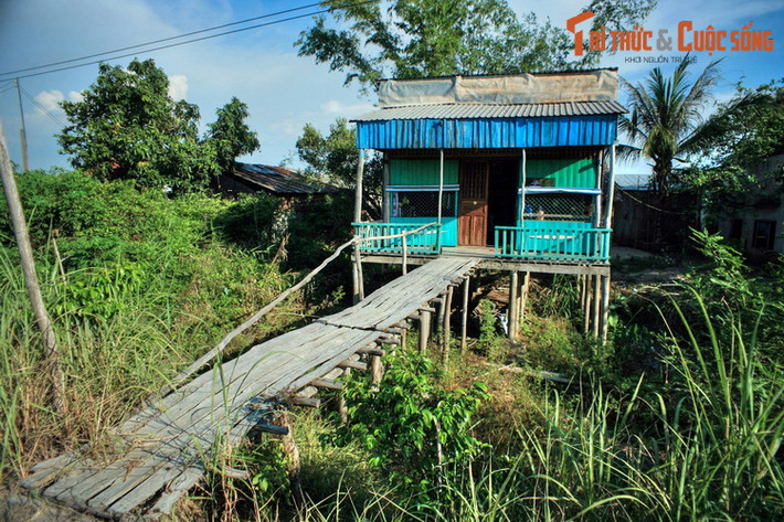 Những ngôi nhà sàn là hình ảnh quen thuộc ở Đồng Tháp. Ở miền Tây, nhà sàn phổ biến nhất ở các vùng ngập lũ như An Giang, Đồng Tháp. Nếu ở vùng núi nhà sàn giúp con người tránh thú dữ thì ở mảnh đất phương Nam nhà sàn là giúp tránh ngập mỗi khi nước về.