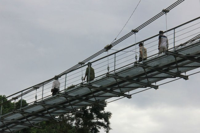 Cây cầu mới nhìn từ dưới lên.