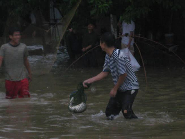 Thanh niên bắt cá ngay trên đường phố Hà Đông.