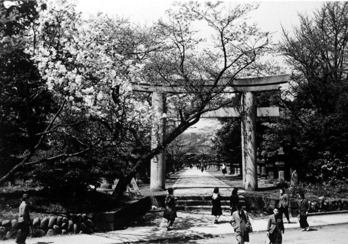 Lối vào đền Toshogu ở quận Ueno. Ảnh: M20wc51.