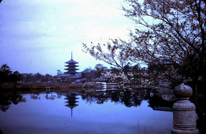 Quang cảnh ở đền Kofuku-ji. Ảnh: Leonora (Ellie) Enking Flickr.