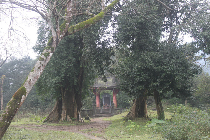 Không chỉ có tài nguyên thiên nhiên, hệ động thực vật đa dạng, phong phú, Vườn Quốc gia Vũ Quang còn là nơi ghi dấu chứng tích những chiến công oanh liệt của nhà yêu nước Phan Đình Phùng và nghĩa quân trong cuộc kháng chiến chống thực dân Pháp thời kỳ phong trào Cần Vương những năm cuối thế kỷ 19.