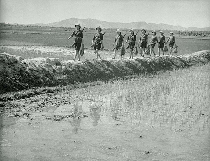 Các nữ dân quân làm ruộng với súng khoác trên vai, 1967.