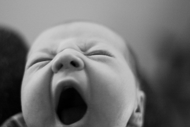 Có thể lý giải điều này như sau: Khi ngáp, cơ hàm mở rộng hết cỡ để tăng lượng máu lưu thông đến mặt, cổ và đầu. Lượng khí được lấy vào khi ngáp sẽ khiến chất dịch từ cột sống và máu từ não chảy xuôi xuống và khí mát hít vào sẽ làm mát những chất lỏng này.