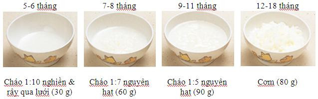 Tỉ lệ gạo:nước khi nấu cháo cho bé là 1:10 hoặc 1:8 cho bé trong giai đoạn 6-9 tháng tuổi, sau 9 tháng tuổi giảm lượng nước theo tỷ lệ 1:6 hoặc 1:3.