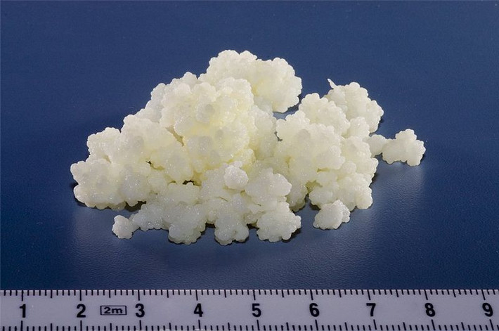 Sữa chua là nguồn bổ sung probiotic – những sinh vật sống (bao gồm cả những vi khuẩn có lợi) có trong hệ tiêu hóa của người. Những sinh vật này giúp ngăn ngừa những vi khuẩn có hại và tăng cường miễn dịch cho cơ thể. Nhưng sữa chua kefir thậm chí còn nhiều probiotic hơn sữa chua gấp 3 lần vì trong kefir có chứa từ 10-20 loại men và vi khuẩn.