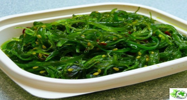 Rong và tảo biển: Vitamin K, B, E, sắt, magie, beta carotene và các axit béo cần thiết đều có trong tảo biển. Tảo biển không chỉ cung cấp năng lượng cần thiết mà còn cân bằng đường huyết, giúp trí óc hoạt động tốt và ngăn không cho các tế bào ung thư vú phát triển. Chlorophyll có trong rong biển có thể thải loại độc tố kim loại ra khỏi cơ thể và làm lành vết thương. Chất này còn ngăn chặn khả năng bám vào DNA của các chất sinh ung thư.