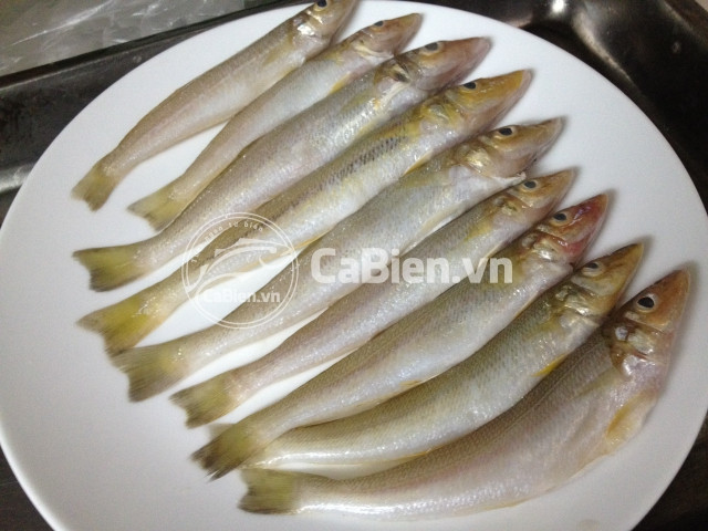 Ngoài ra có thể đánh giá cá tươi hay không bằng cảm quan: mắt cá phải trong và sáng, ít đục; mang cá phải hồng hoặc đỏ; khi ngửi mùi cá vẫn tươi, không có mùi hôi khó chịu; khi lấy tay sờ vào không thấy nhớt và thịt cá còn độ đàn hồi.