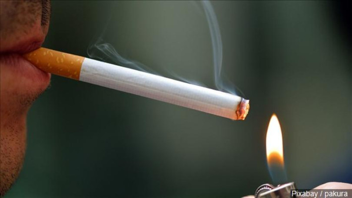 Một nhóm các nhà nghiên cứu tại Đại học y Havard đã cho biết ảnh hưởng của thuốc lá tới ADN là gây sẹo và không phải sẹo nào cũng mờ đi theo thời gian.