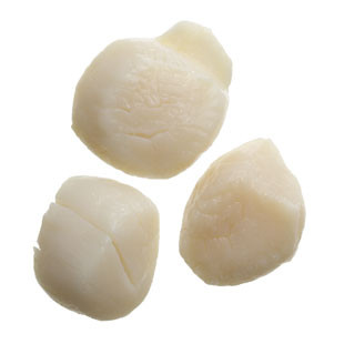 Những miếng sò điệp trắng trắng có thể là cá đuối, cá đuổi hoặc cá mập cắt nhỏ cho giống với sò điệp. Đồng thời sò điệp cũng không có vị gì quá đặc biệt nên khó nhận ra.