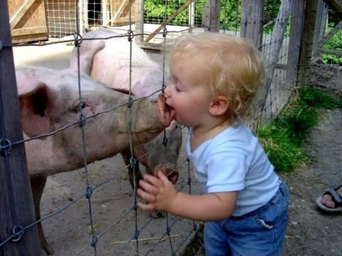 Luôn sẵn sàng hôn con dù con đã hôn thứ gì khác.