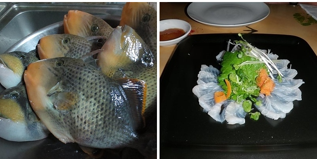Cá nóc ở Trung Quốc được gọi là cá lột da vì cần phải lột đi lớp da cá vừa xù xì vừa cứng như đá mới lấy được phần thịt cá bên trong vừa chắc vừa ngọt.