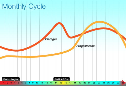 Khoảng thời gian trước khi kinh nguyệt xuất hiện trở lại, lượng progesterone tăng dần lên để chuẩn bị cho những “ngày ấy” nên phụ nữ thường hay bị chuột rút, căng ngực, nóng bức và cơ thể bị tích nước. Đây là một trong những nguyên nhân khiến bạn bỗng cảm thấy lười tập luyện.