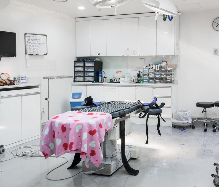 Bệnh nhân thường được gây mê trong phòng phẫu thuật trước, sau đó bác sĩ có mặt và thực hiện công việc của mình và khi tỉnh dậy thì bác sĩ đã đi từ lâu rồi.