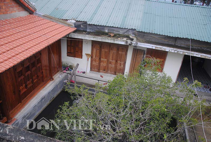 Cạnh nơi cây sanh cổ tọa lạc là một ngôi nhà rường tạo nên không gian rất đẹp.